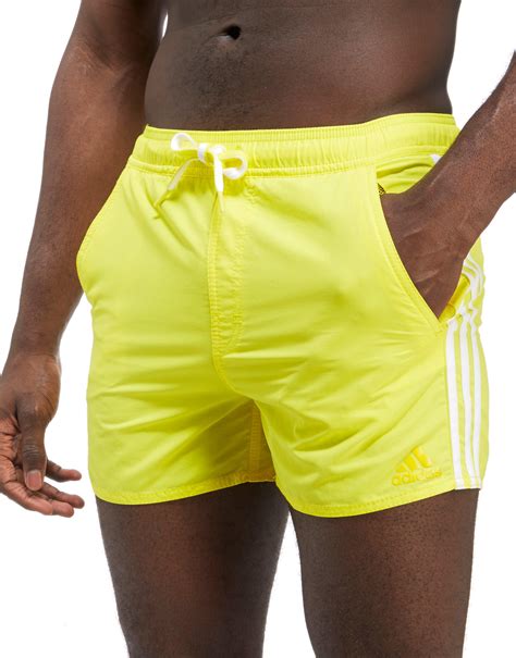 swim shorts adidas.